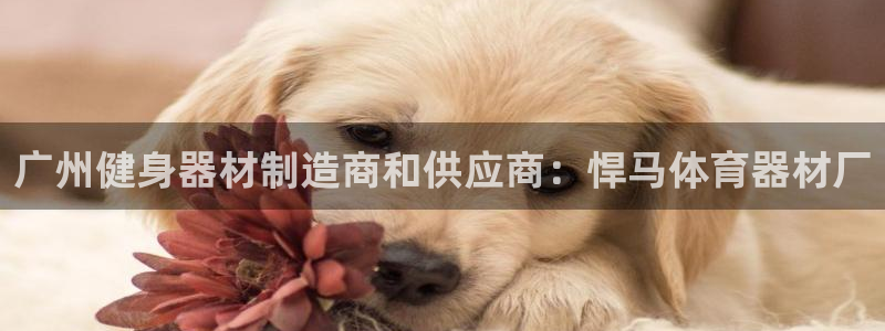 星欧娱乐联售后服务评价：广州健身器材制造商和供应商：