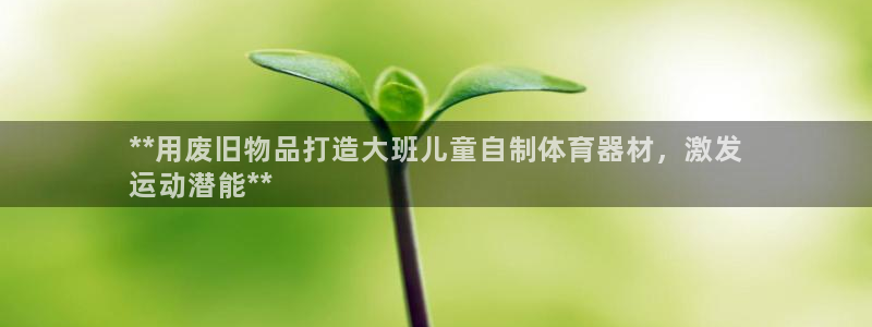 星欧娱乐挂机赚钱是真的吗：**用废旧物品打造大班儿童