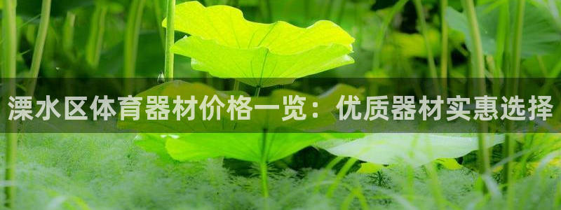 传奇星娱乐：溧水区体育器材价格一览：优质器材实惠选择