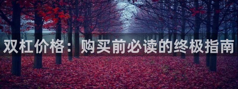星娱乐文化传媒有限公司