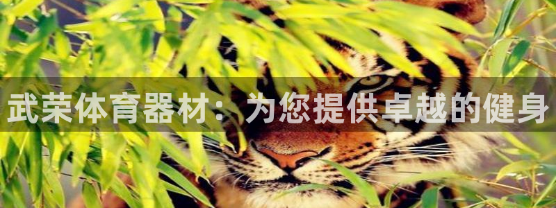 星欧娱乐最建议买的三个产品是