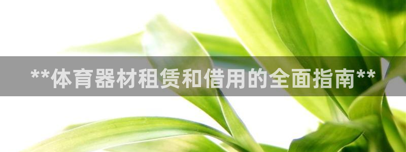 星奥娱乐怎么样知乎：**体育器材租赁和借用的全面指南
