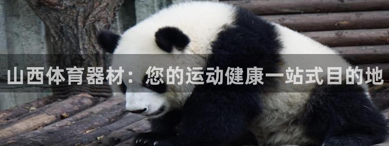 星欧娱乐游戏官网