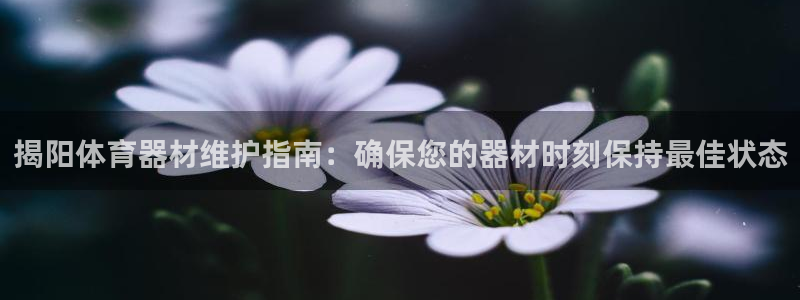 星欧娱乐扣款流程详解视频教程：揭阳体育器材维护指南：