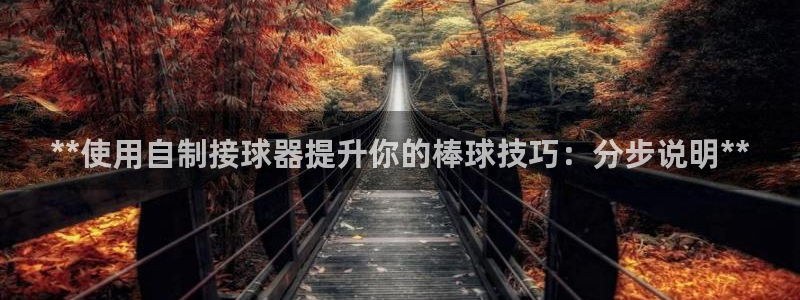 星欧娱乐属于什么档次的网站：**使用自制接球器提升你