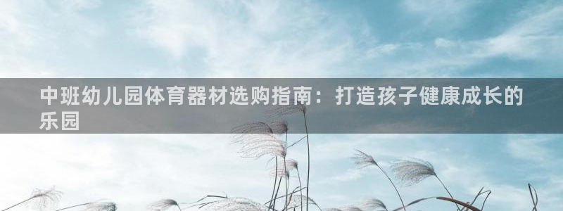 星欧娱乐扣款：中班幼儿园体育器材选购指南：打造孩子健
