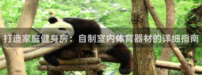 江苏星奥娱乐招艺人：打造家庭健身房：自制室内体育器材