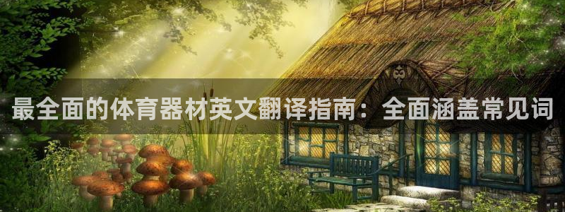星欧娱乐公司创始人背景故事：最全面的体育器材英文翻译