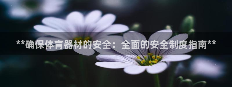 星欧娱乐联4.8.5.6.2.4.3下载