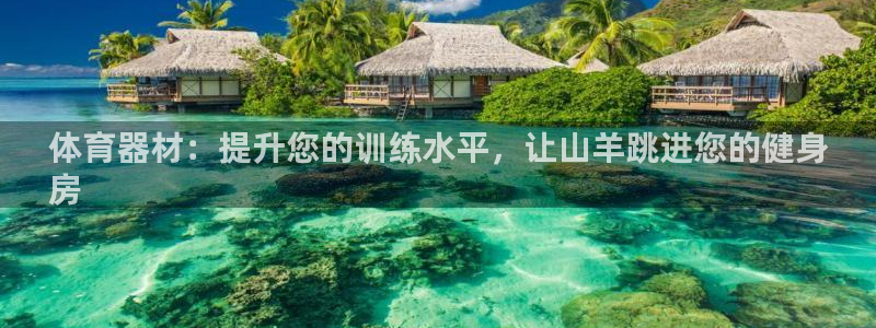 星欧娱乐是正规平台吗安全吗是真的吗：体育器材：提升您