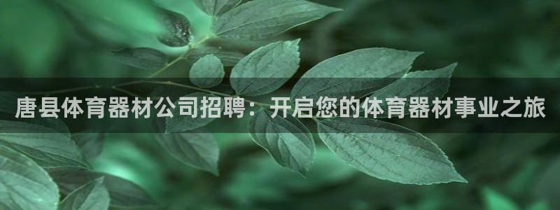 星欧娱乐是正规平台吗：唐县体育器材公司招聘：开启您的