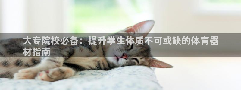 星欧娱乐平台怎么样知乎赚钱吗：大专院校必备：提升学生