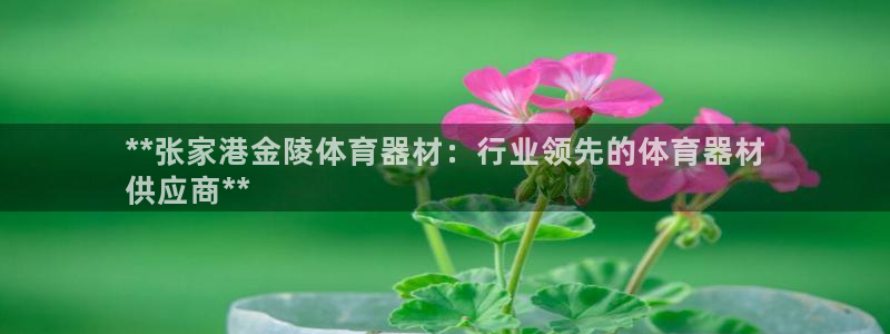 星奥娱乐艺人