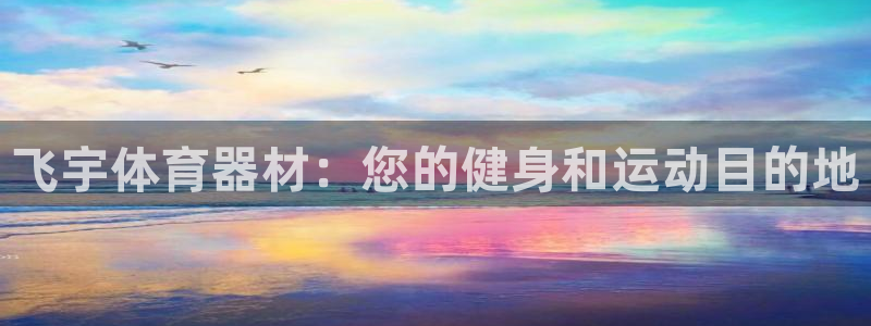 星欧娱乐是正规平台吗安全吗知乎：飞宇体育器材：您的健