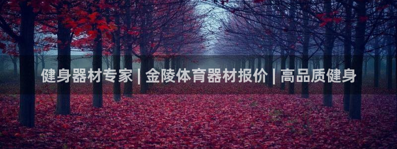 星乐娱乐官网：健身器材专家 | 金陵体育器材报价 |