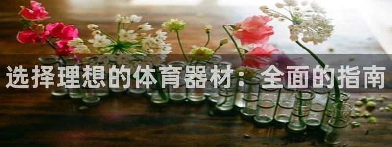星欧娱乐扣款流程详解视频下载