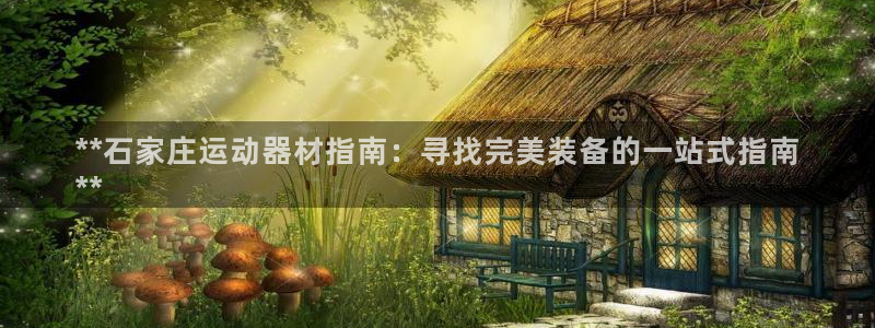 星欧娱乐平台怎么样知乎：**石家庄运动器材指南：寻找