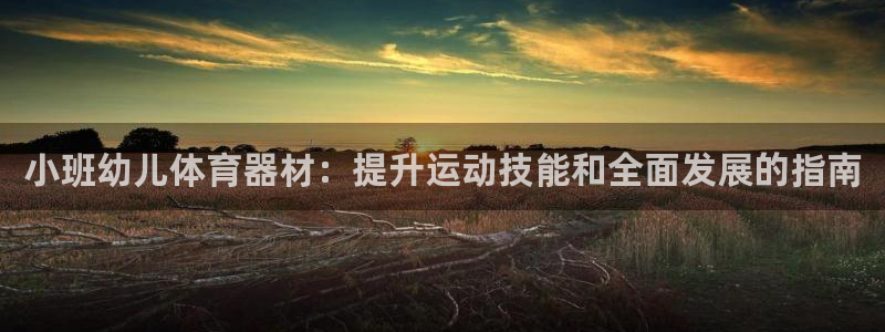 星娱乐文化传媒有限公司