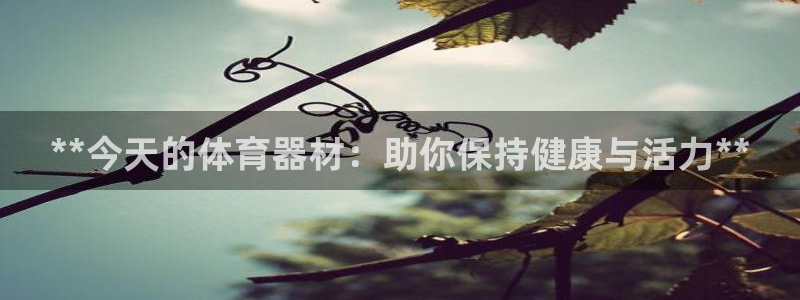 星欧娱乐下载最新版本更新内容