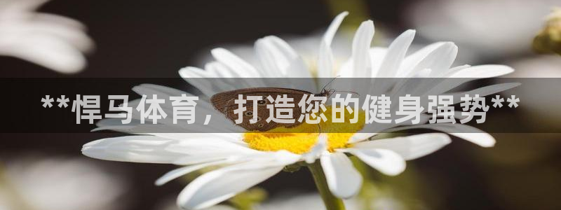 星欧娱乐最建议买的三个产品有哪些