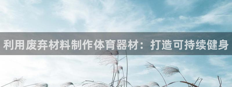 星奥娱乐集团