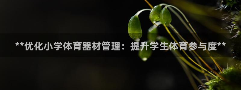 星奥娱乐集团是国企吗