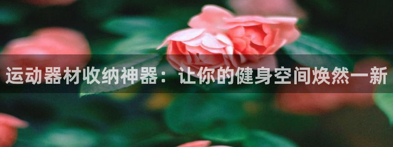 星欧娱乐属于什么档次的软件