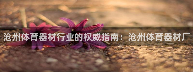 星欧娱乐挂机教程视频：沧州体育器材行业的权威指南：沧