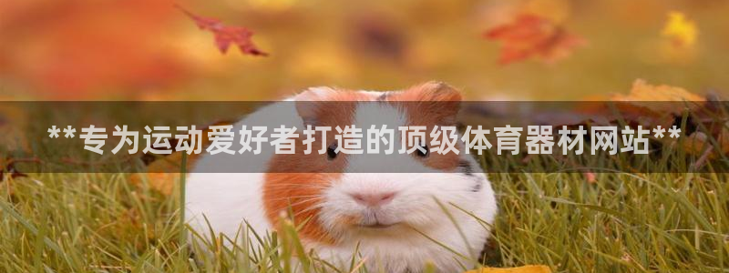 星欧娱乐扣款时间查询方法是什么样的