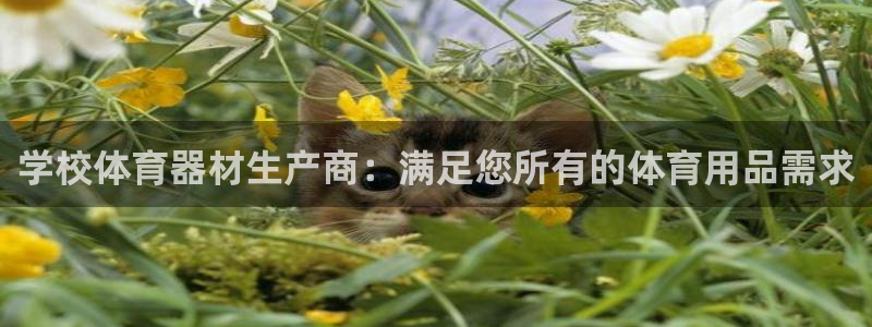 星乐娱乐