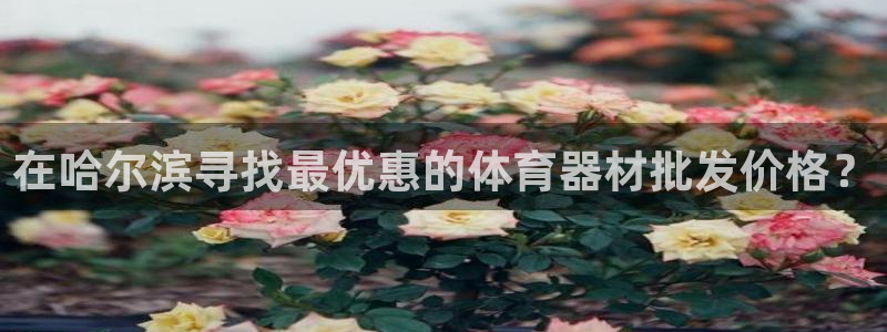 星欧娱乐最建议买的三个产品是哪三个