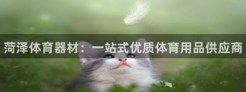 星欧娱乐公司创始人背景故事