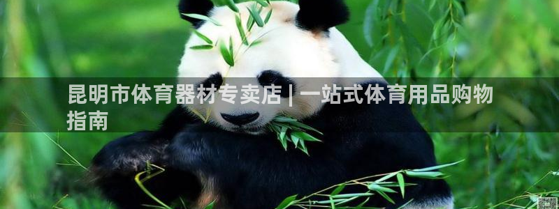 星欧娱乐的官方版本更新内容有哪些