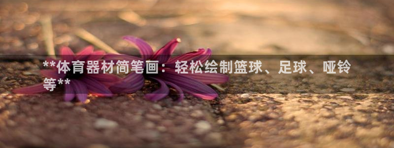 江苏星奥娱乐