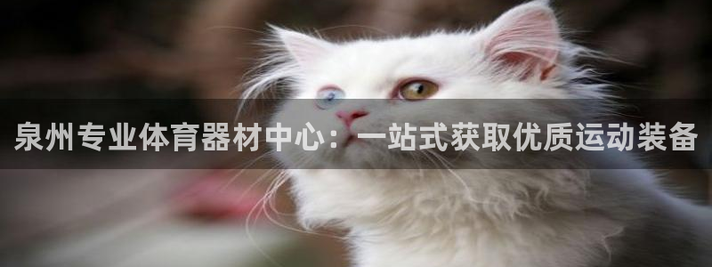星欧娱乐扣款时间查询方法是什么
