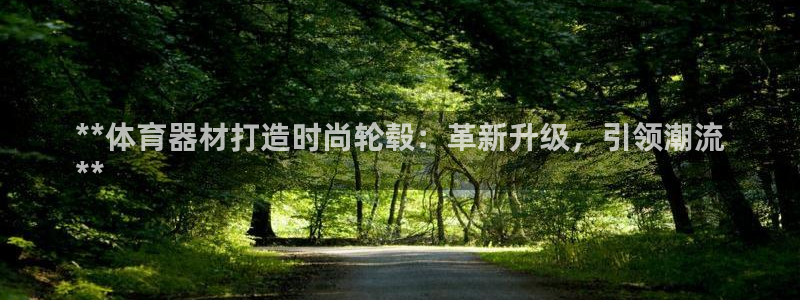 星欧娱乐公司地址：**体育器材打造时尚轮毂：革新升级