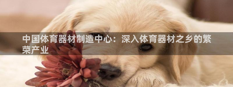 星欧娱乐扣款怎么回事：中国体育器材制造中心：深入体育