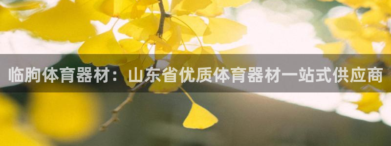 星欧娱乐app最新版本更新内容下载