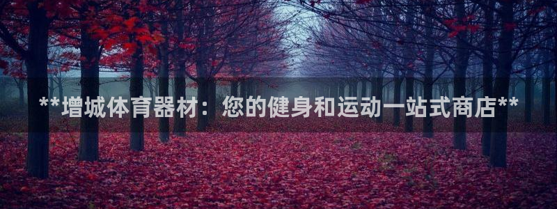 星欧娱乐扣款时间查询方法是什么样的：**增城体育器材