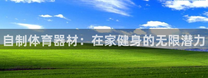 星欧娱乐平台测速线路设置