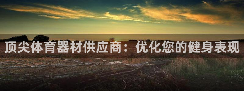 星欧娱乐工711.112怎么没有了