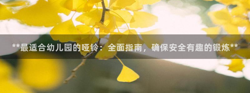 星欧娱乐公司：**最适合幼儿园的哑铃：全面指南，确保