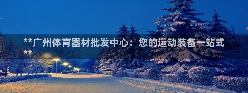 星欧娱乐公司简介：**广州体育器材批发中心：您的运动装备一站