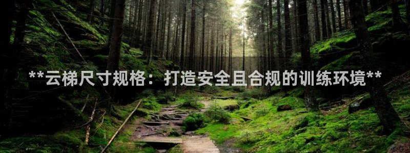 星奥娱乐集团股份有限公司招聘：**云梯尺寸规格：打造