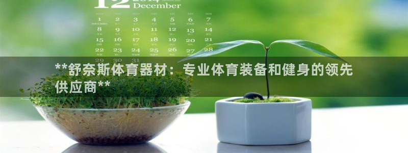 星欧娱乐的创始人背景故事简介：**舒奈斯体育器材：专业体育装