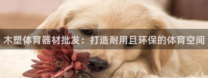 星欧娱乐载711.112使用教程详解：木塑体育器材批发：打造