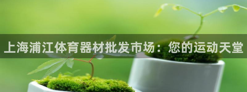 星欧娱乐24小时客服电话
