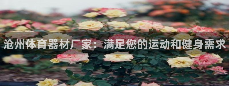 星欧娱乐平台怎么样啊安全吗