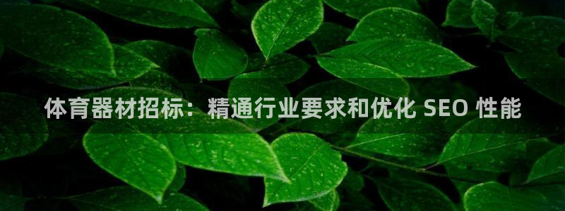 星欧娱乐扣款流程详解视频下载