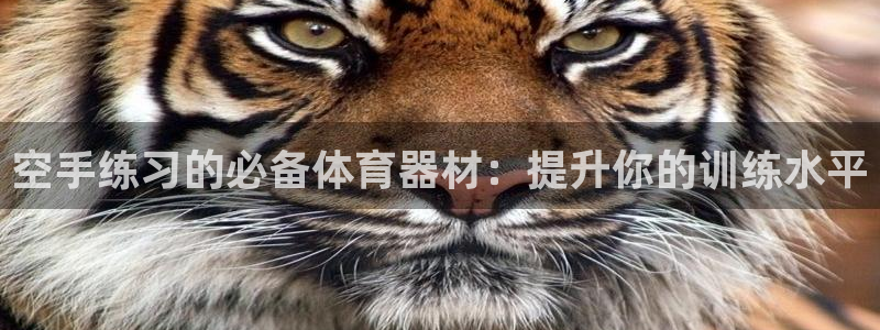 星欧娱乐扣款流程详解图高清
